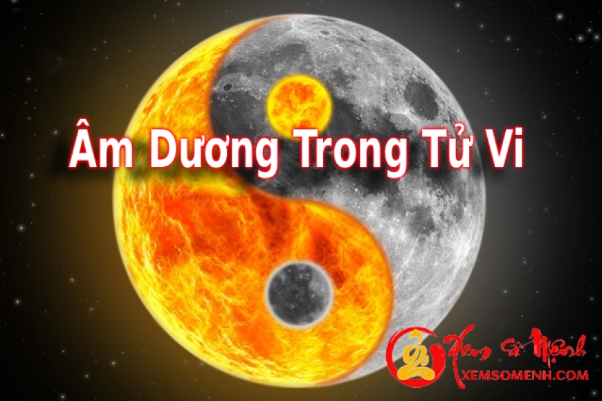 Hiểu Sai Âm dương trong Tử Vi mọi luận đoán đều sai