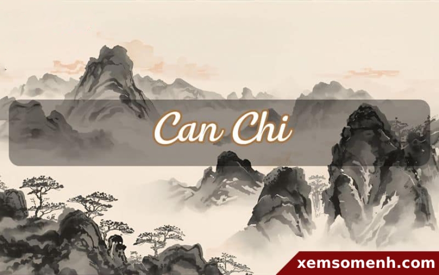 Thiên Can – Địa Chi là gì và vì sao Tử Vi phải dựa vào Can Chi?