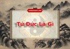 Tứ Đức là gì? Ý nghĩa mỗi sao và lưu ý khi luận giải lá số tử vi