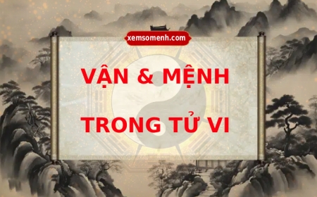 Sự khác nhau giữa Mệnh và Vận trong Tử Vi là gì?