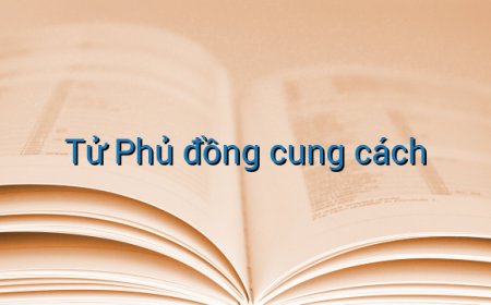 Luận Về Cách Cục Tử Phủ Đồng Cung Trong Tử Vi