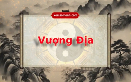 Vượng địa là gì? Ý nghĩa và đặc điểm của bản mệnh
