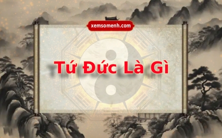 Tứ Đức là gì? Ý nghĩa mỗi sao và lưu ý khi luận giải lá số tử vi